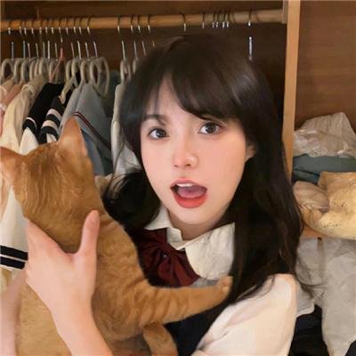 社会学家和小熊
